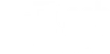 Tech Local